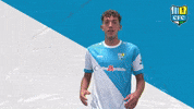 Tor Cfc GIF by ChemnitzerFC