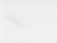 Computer Virus GIF by YK Animation Studio