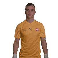 No Way Stop Sticker by Swiss Football Association