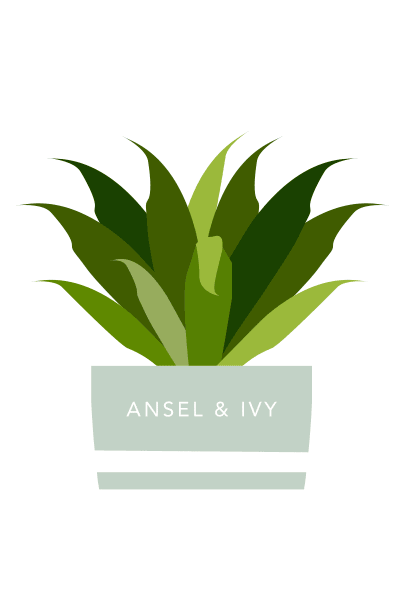 plants leaves Sticker by Ansel & Ivy