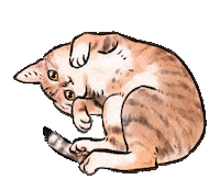 Cats Sticker