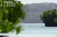 Survivorau GIF by Australian Survivor