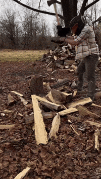 Falvotrenz GIF