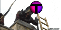 tinycolony gaming solana tinycolony GIF