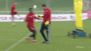 friends jumping GIF by FC Bayern Munich
