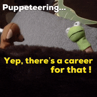 hatsandladders bear creative frog finger GIF