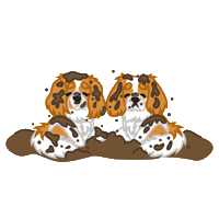 Mynteaicha Sticker