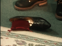 the mystery files of shelby woo nicksplat GIF