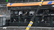 F1 Sleeping GIF by Formula 1