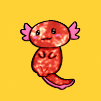 Axolotl Umut GIF