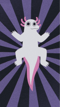 Axolotl GIF