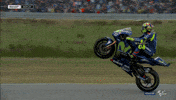 Valentino Rossi Winner GIF by MotoGP