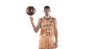 Liga Endesa Spinning Sticker by ACB