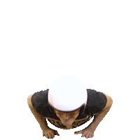 Sbt Online Piologo Sticker by SBT - Sistema Brasileiro de Televisão