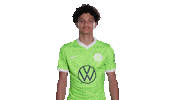 Happy Football Sticker by VfL Wolfsburg