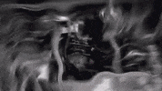 Division No Sympathy GIF by Jenevieve