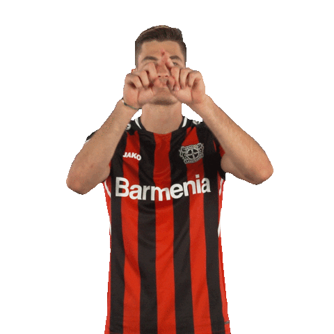 Assist Patrik Schick Sticker by Bayer 04 Leverkusen
