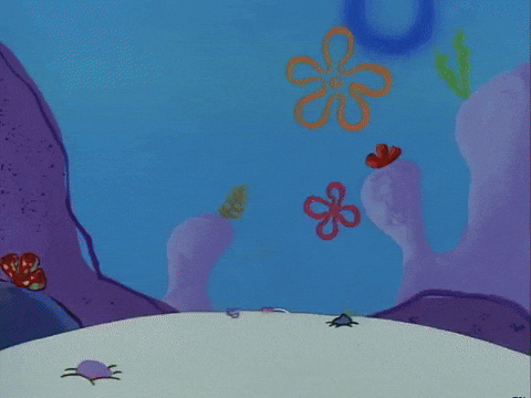 season 1 texas GIF by SpongeBob SquarePants
