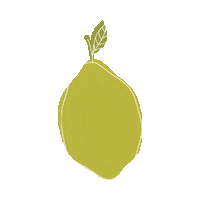 Fruit Lemon Sticker by Chimp Treats