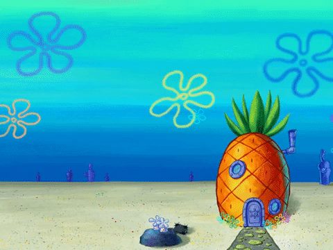 season 3 GIF by SpongeBob SquarePants