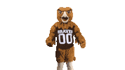 Mascot Pembroke Sticker by UNCP Braves Athletics