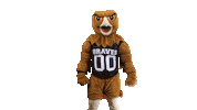 Mascot Pembroke Sticker by UNCP Braves Athletics