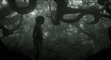 jon favreau disney GIF by Disney's The Jungle Book