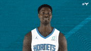 North Carolina Sport GIF by Charlotte Hornets