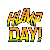 Wednesday Morning Racing Sticker by Sampsoid