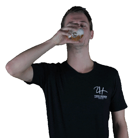 DeTweeHeeren giphyupload maastricht twee 2h Sticker