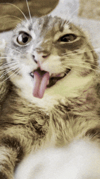 6 7 GIF