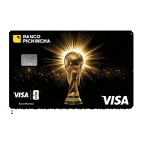 Ecuador Visa Sticker by Banco Pichincha