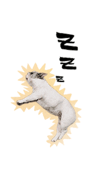 peoplewhokaer dance dog white animal Sticker