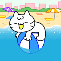 Happy Cat GIF by Mikitti