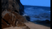 Blackfins GIF by Ricky Montgomery