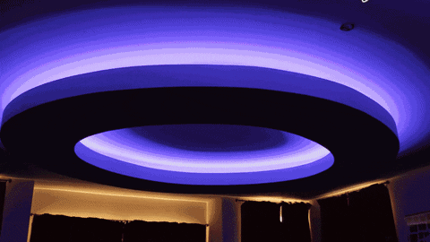 wynbeesolutions giphyupload GIF