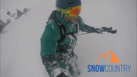 Snowcountry giphyupload snow ski powder GIF