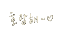 세븐틴 Carat Sticker