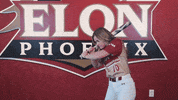 College Athletics Ncaa Softball GIF by Elon Phoenix