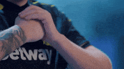 Nip Counter Strike GIF by BLAST
