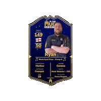 Darts Essex Sticker by clarknewman Estate Agents