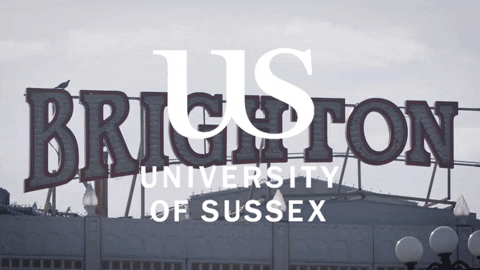sussexuni giphyupload brighton university of sussex heysussex GIF