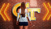 Georgia Tech Volleyball GIF by Georgia Tech Yellow Jackets