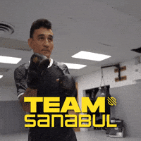 Max Holloway Ufc GIF by Sanabul