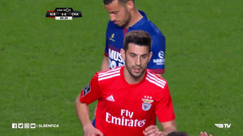 high five sl benfica GIF by Sport Lisboa e Benfica
