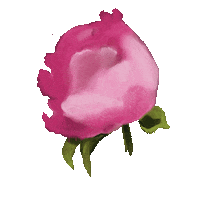 Flower Sticker