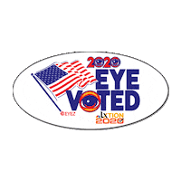 Election 2020 Vote Sticker by NBC LX