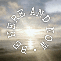 M-a-ex water beach sun relax GIF