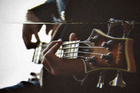 Bass Guitar Guitarist GIF by Discover Vinyl