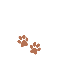 Dog Sticker by Caroline Wirtz